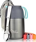 Milu Termo para Comida 300ml, 440ml, 450ml, 650ml, 800ml Taza Aislada, Botella de Acero Inoxidable Aislada para Alimentos, Beber y sopa de los niños de adultos A prueba de fugas Térmico (450ml/Gris)