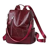Mochila de picnic para 2 personas de cuero texturizado Mochila de gran capacidad Mochila casual Mochila Pulverizador Batería Powe, rojo, Talla única
