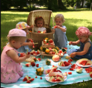 Cómo elegir una fiambrera para un picnic familiar